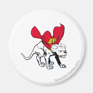 Aimant Krypto