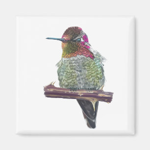 Aimant L’aimant des colibris d’Anna