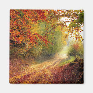 Aimant La beauté de l'automne