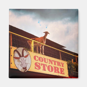 Aimant la chèvre du magasin de campagne sur le toit