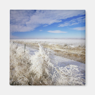Aimant La gelée blanche recouvre le tumbleweed et la clôt