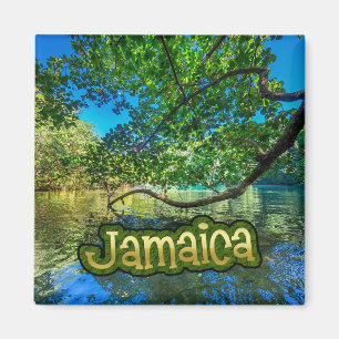 Aimant La lagune bleue de Jamaïque, Port Antonio
