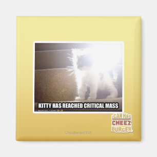 Aimant La masse critique Kitty