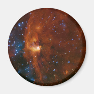 Aimant La NASA stellaire de la naissance RCW 108 d'étoil