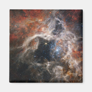 Aimant La Nebula Tarantula NIRCam JWST
