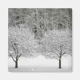 Aimant La neige a couvert le paysage