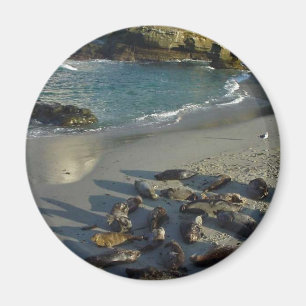 Aimant La plage de crique de La Jolla ondule des