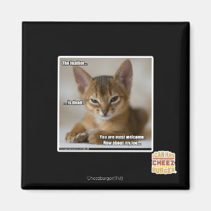 Aimant La plume est morte.