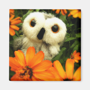 Aimant La recherche des fées continue…