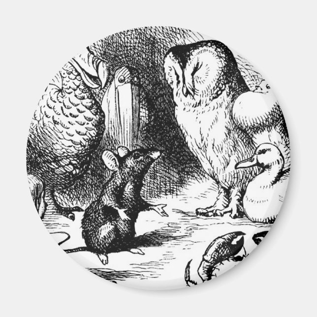 Aimant La souris et l'histoire sèche (Devant)