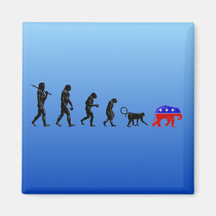 Aimant La théorie démocratique de la décentralisation