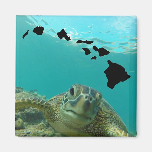 Aimant La tortue de Hanauma Bay Oahu Hawaii (Devant)