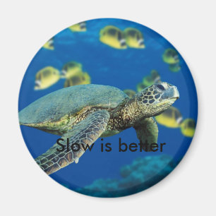 Aimant La tortue de mer verte, lente est meilleure