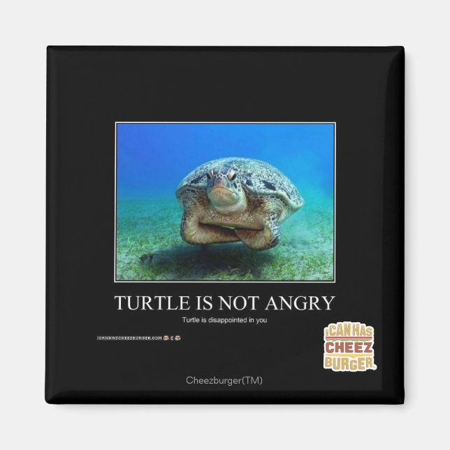 Aimant La tortue n'est pas en colère (Devant)