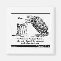 La tortue tumultueuse Tom-tommy