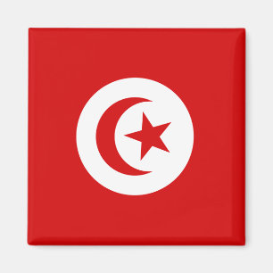 Aimant La Tunisie