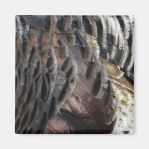 Aimant La Turquie sauvage Plumes I Abstrait Nature Design