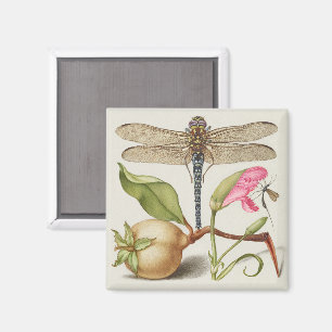 Aimant La vie du jardin, Libellule, Poire, Œillet et Inse