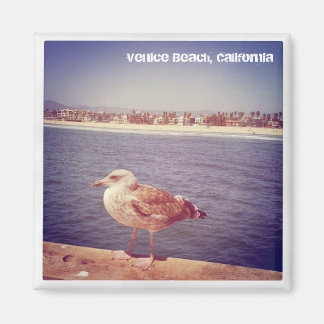 Aimant la vie d'un mouette