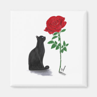 Aimant la vie en rose de Pacha