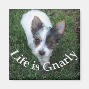 Aimant La vie est géniale