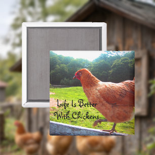 Aimant La Vie Est Meilleure Avec Les Poulets