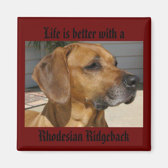 Aimant La vie est meilleure avec un RHODESIAN RIDGEBACK M (Devant)