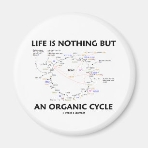Aimant La vie n'est rien mais un cycle organique (le