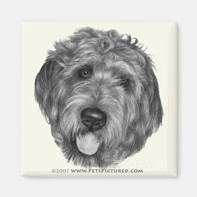 Aimant Labradoodle (Devant)