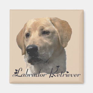 Aimant Labrador Retriever Cadeaux Yellow Lab Art