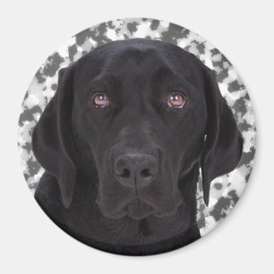 Aimant Labrador retriever noir