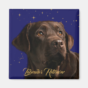 Aimant Labrador Retriever Star Sky