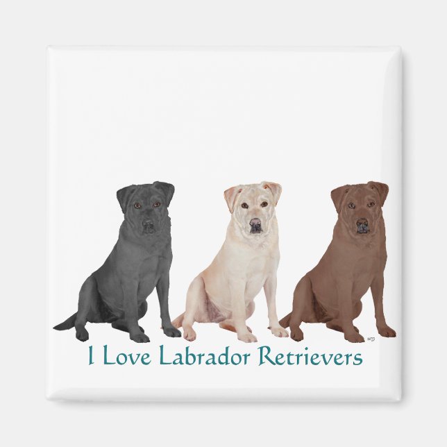 Aimant Labrador Retrievers - 3 couleurs à aimer (Devant)