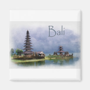 Aimant Lac Bratanan Bali Indonésie