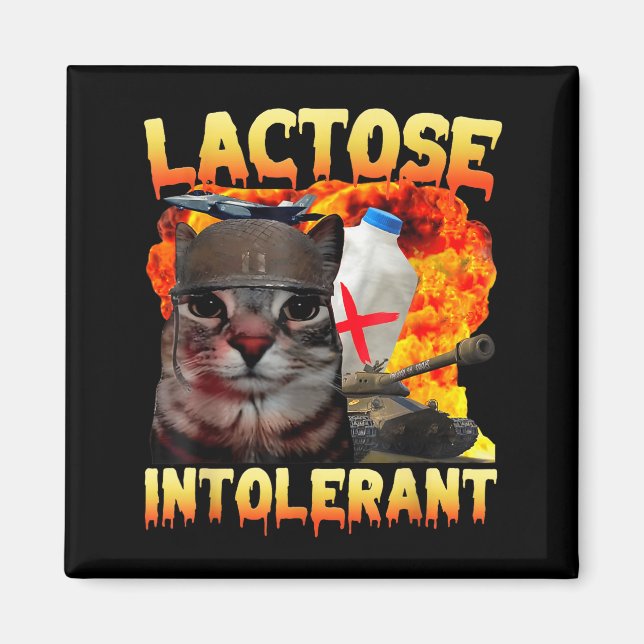 Aimant Lactose Intolerant Silly Cat Meme Funny Saying Cat (Devant)