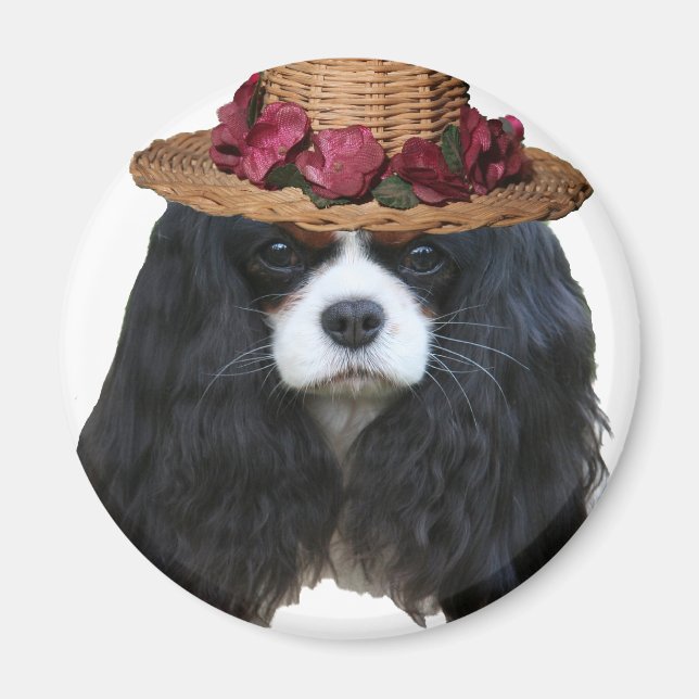 Aimant Lady Tansy (Devant)