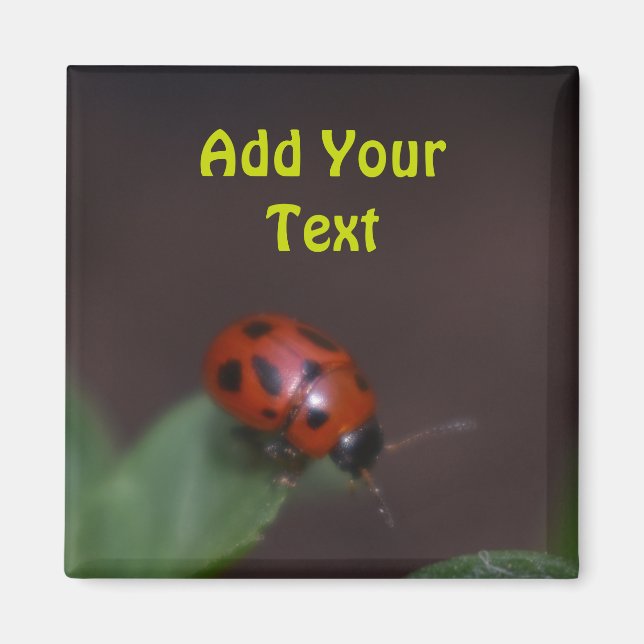 Aimant Ladybug (Devant)