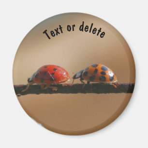 Aimant Ladybug Buddies Nature Personnalisée