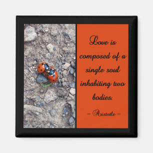 Aimant Ladybug Kisses