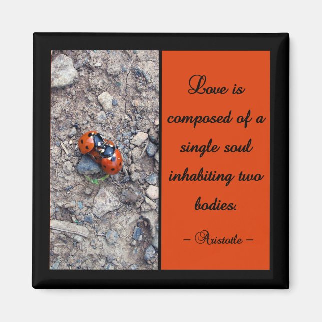 Aimant Ladybug Kisses (Devant)