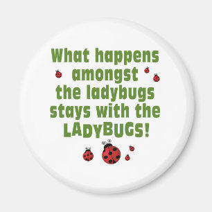 Aimant Ladybugs