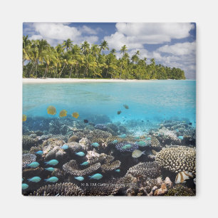 Aimant Lagune tropicale dans l'atoll du sud d'Ari