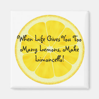 Aimant L'aimant Audrey