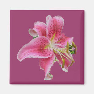 Aimant L'aimant de Lily de Carolyn