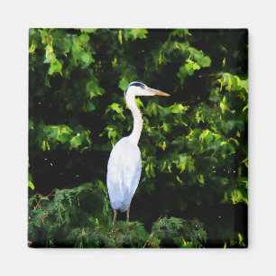 Aimant L'aimant des oiseaux blancs
