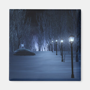 Aimant L'aimant léger de l'idiot