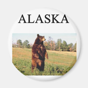 Aimant l'Alaska