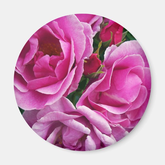 Aimant L'ami compatissant (Devant)