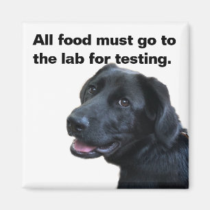 Aimant L'Amour du Labrador