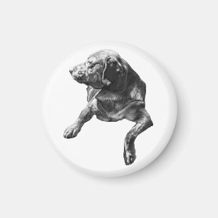Aimant Lamplight Hush : Labrador Outline